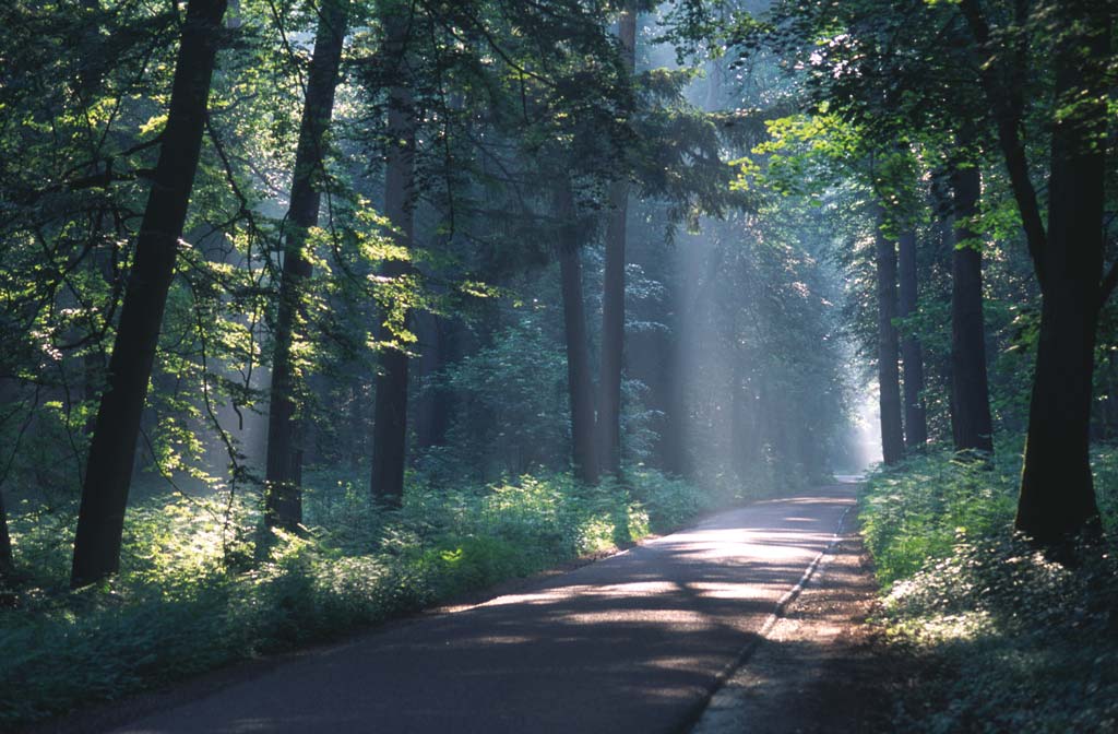 Abbaye et forêt du Pays de Halatte